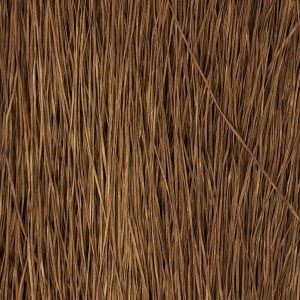 0210 Brown Eyed Girl - Straw Silk