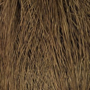 Straw Silk Cold Brew 0232