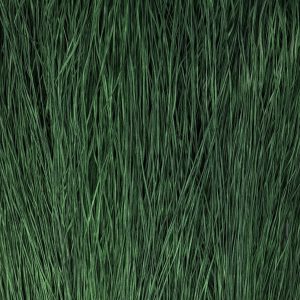 Straw Silk Pickleweed 0427