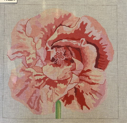 Regal Hibiscus by Jean Smith