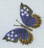 Purple Butterfly by Charlie Harper