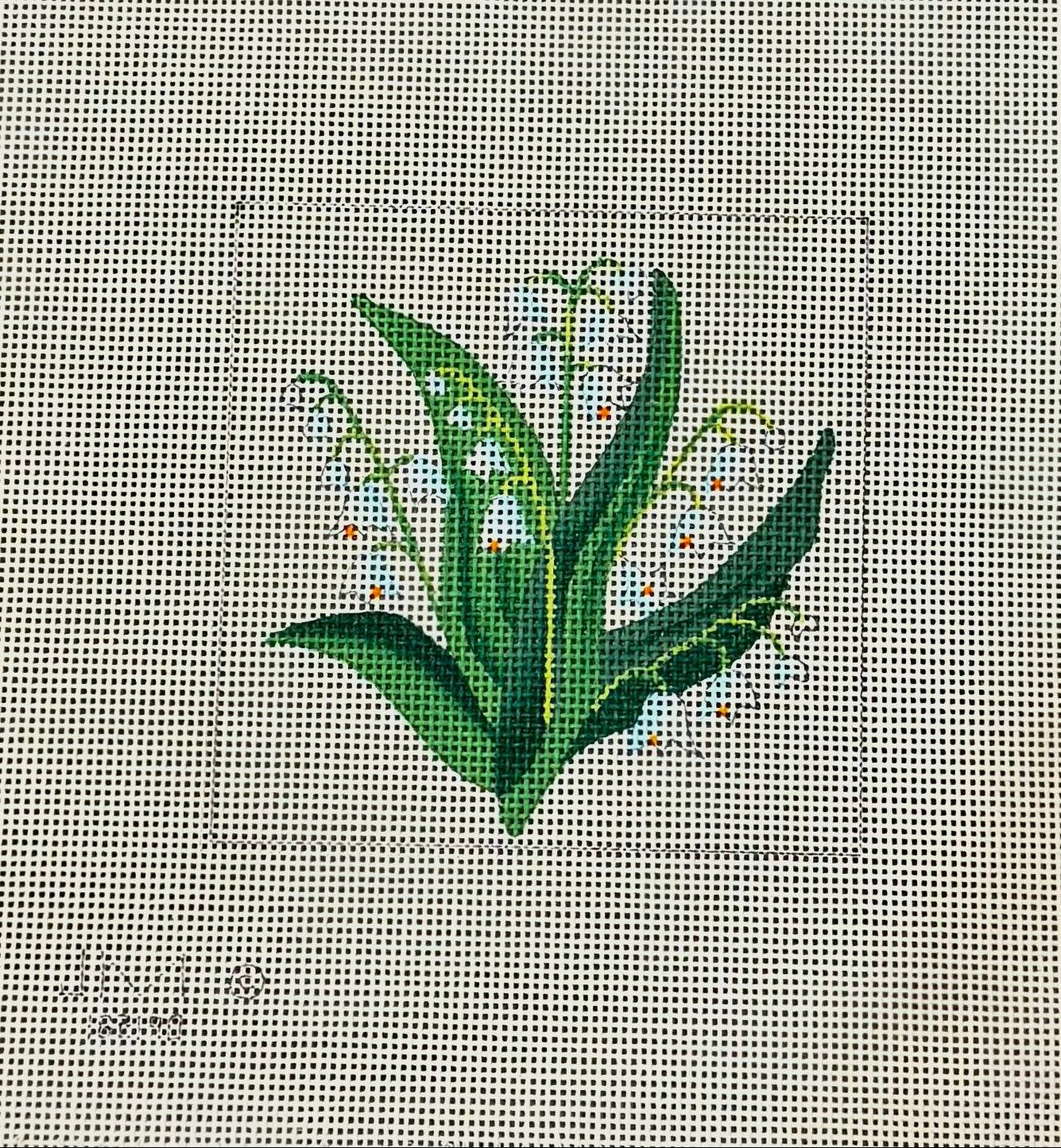 Lily of the Valley JM 182190