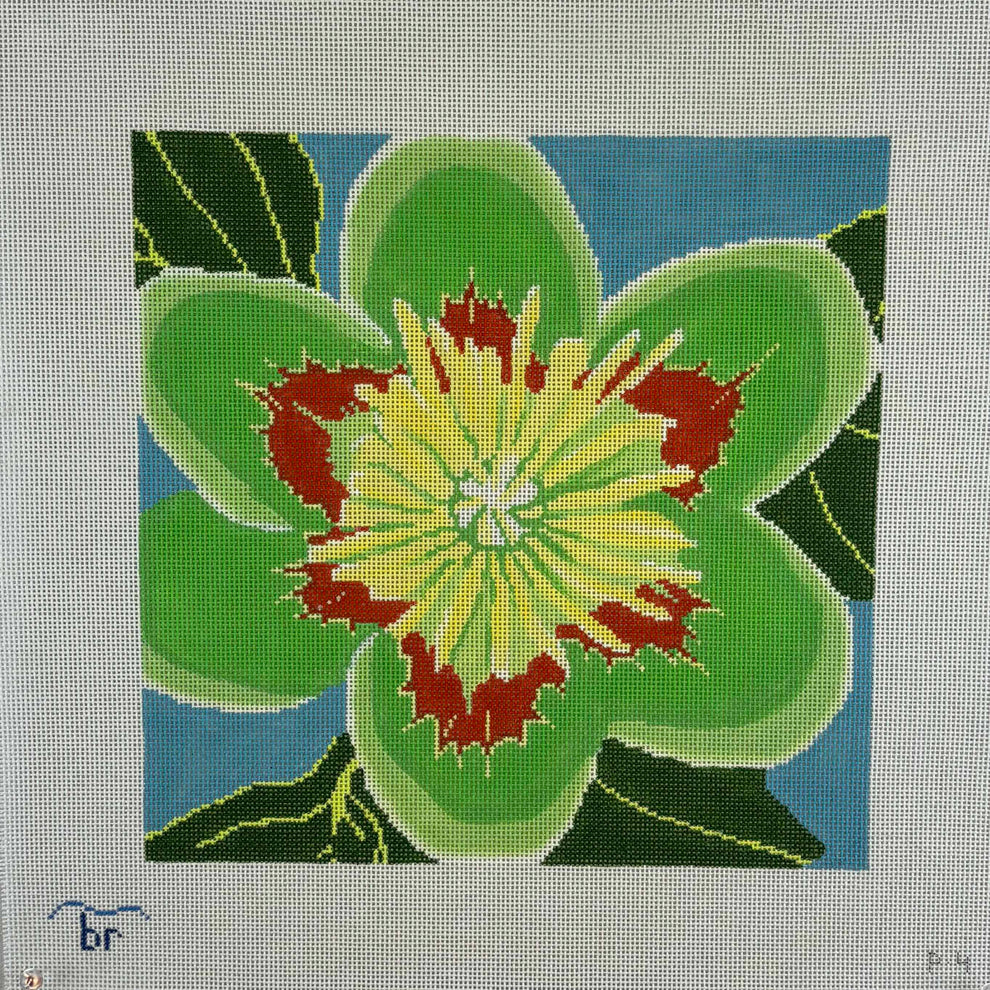 P4 - Tulip Poplar Blossom