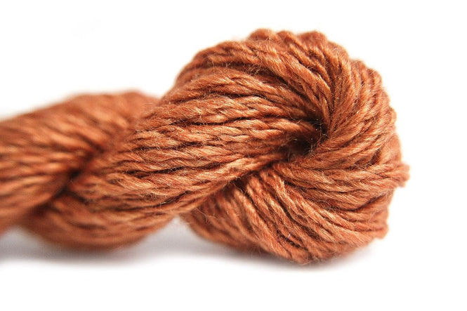 Trio - Acorn Squash T235