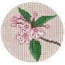 Mountain Laurel