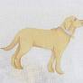 Golden Pup by Sara Fitz
