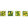 Yellow Tulip Coasters
