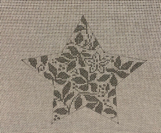 Teri's Star- Silver