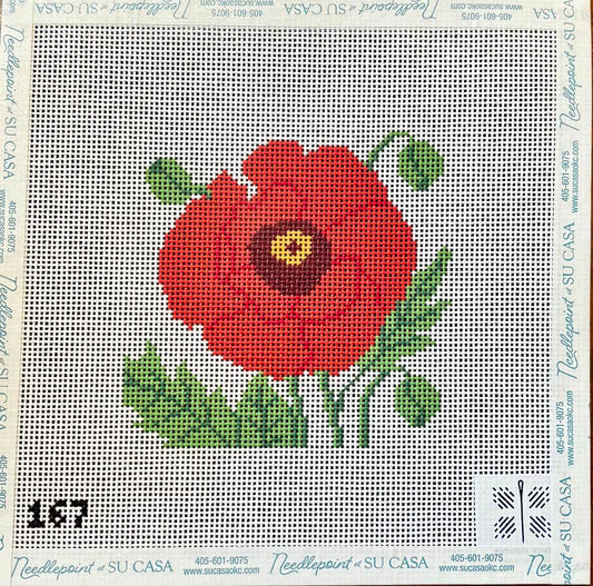 Poppy by Patricia Sone
