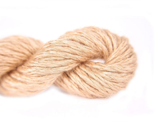 Trio - Ginger T60