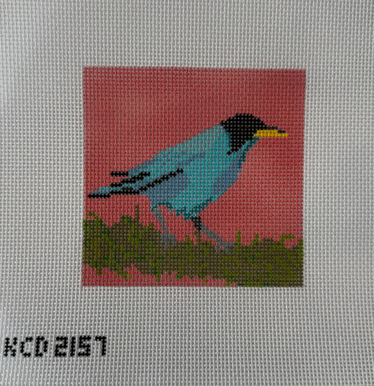 Blue Bird on Pink