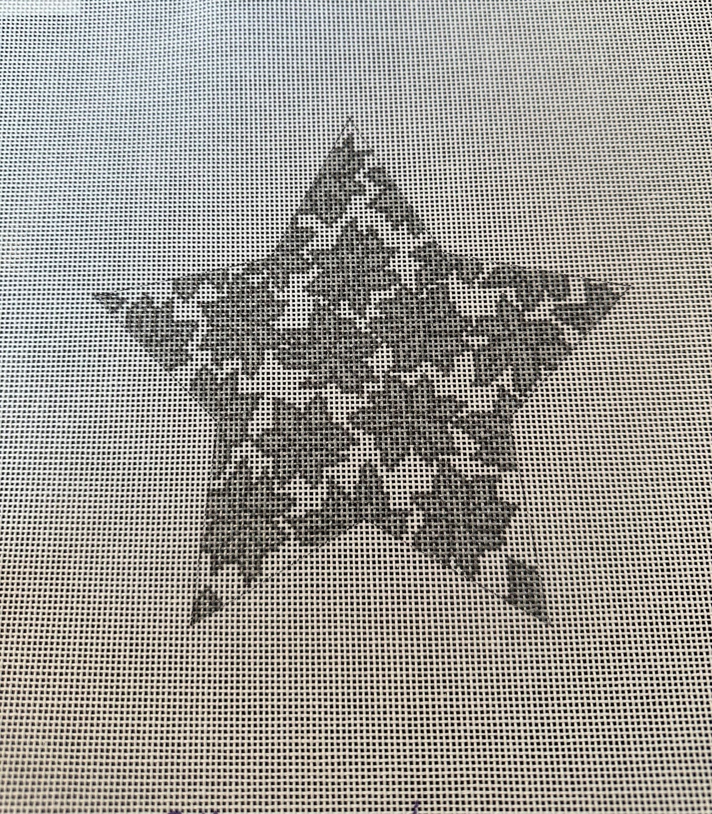 6" Poinsettia Star-Silver