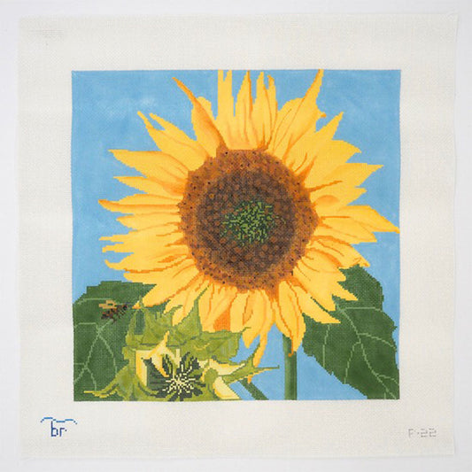P22 - Sunflower