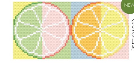 Citrus Slice Insert by Rachel Barri