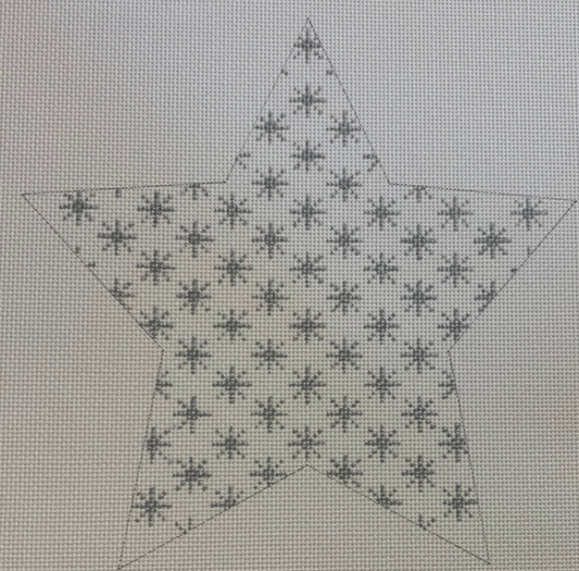 W- Jessie's Star- Silver