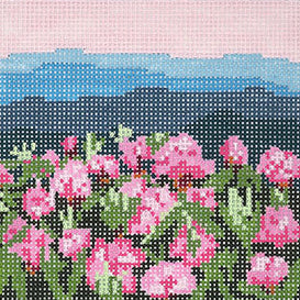 T4A -Rhododendron Mtn (13 m Square)