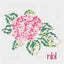 Hydrangea by Blue Waters Needlepoint