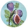 Flowers of the Bible - Fig Tree by Anna McKenzie Studio