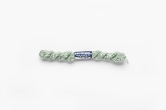 203 Creme de Menthe - Planet Earth Wool