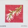 Foxglove by Initial K