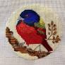 Painted Bunting Bird by Melissa Prince