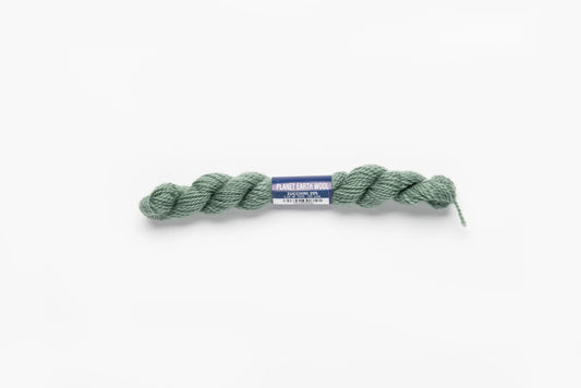 205 Zucchini - Planet Earth Wool