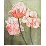 Pink & White Tulips by Liz Goodrick-Dillon