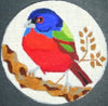 Painted Bunting Bird by Melissa Prince