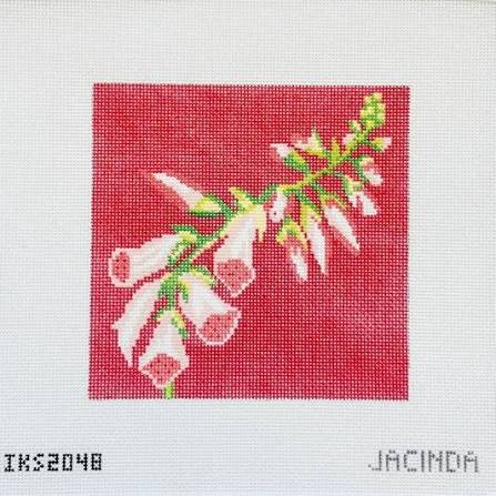 Foxglove by Initial K