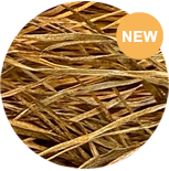 Straw Silk Malt Liquor H-0230